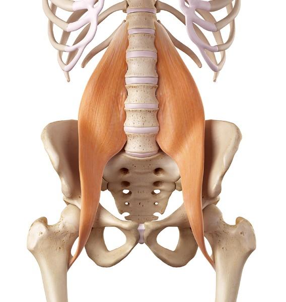 Tendinite du psoas par arthroscopie